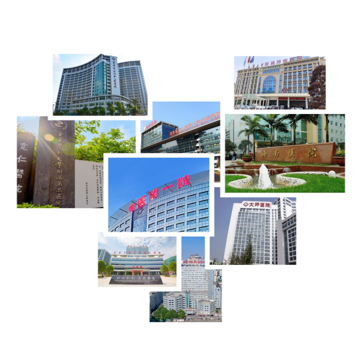 2025澳门原料免费大全