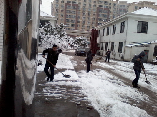 2025澳门原料免费大全