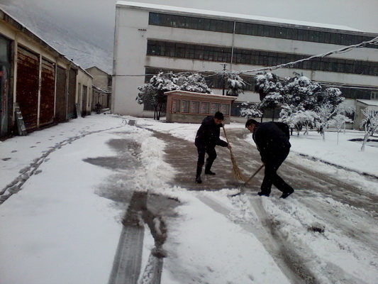 2025澳门原料免费大全