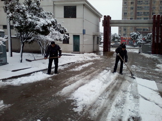 2025澳门原料免费大全