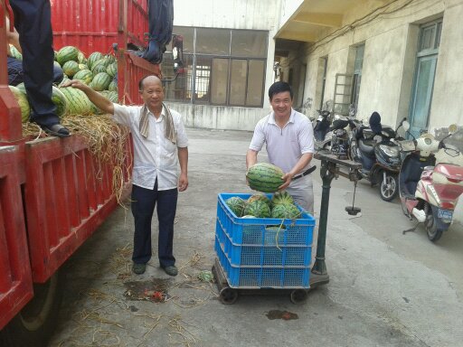 2025澳门原料免费大全